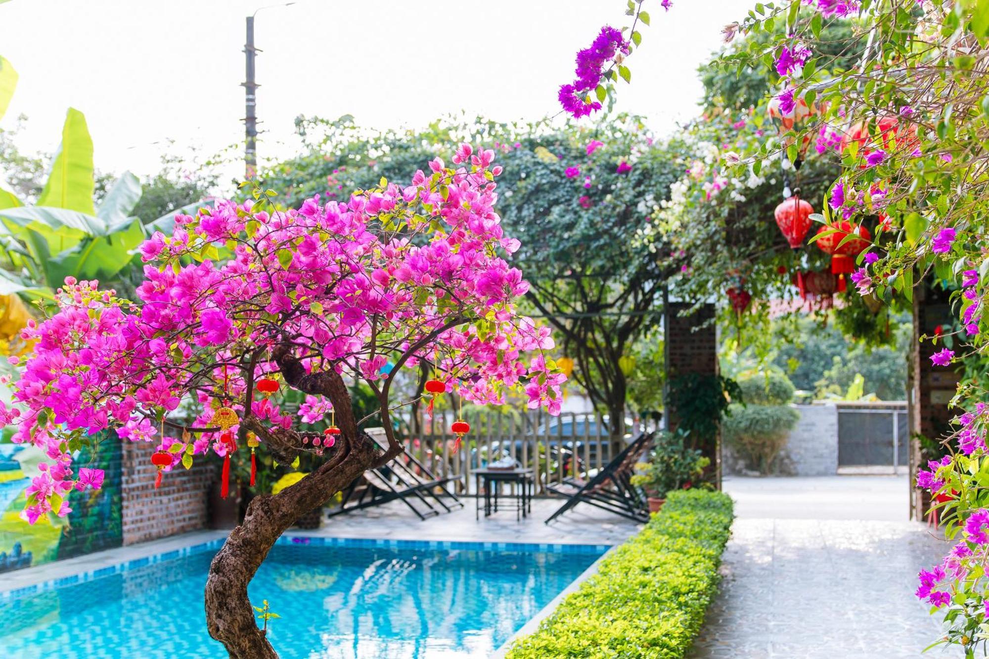 Tam Coc Viet Ha Homestay Ninh Binh Exterior photo